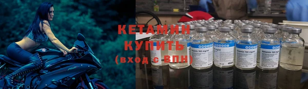 прущие грибы Медвежьегорск
