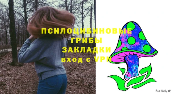 тгк Михайловск