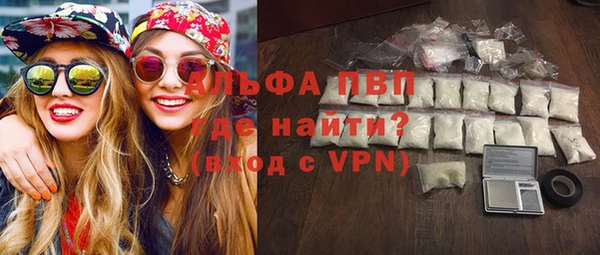 прущие грибы Медвежьегорск