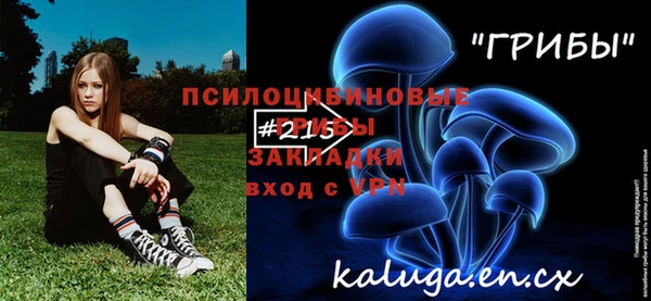 прущие грибы Медвежьегорск